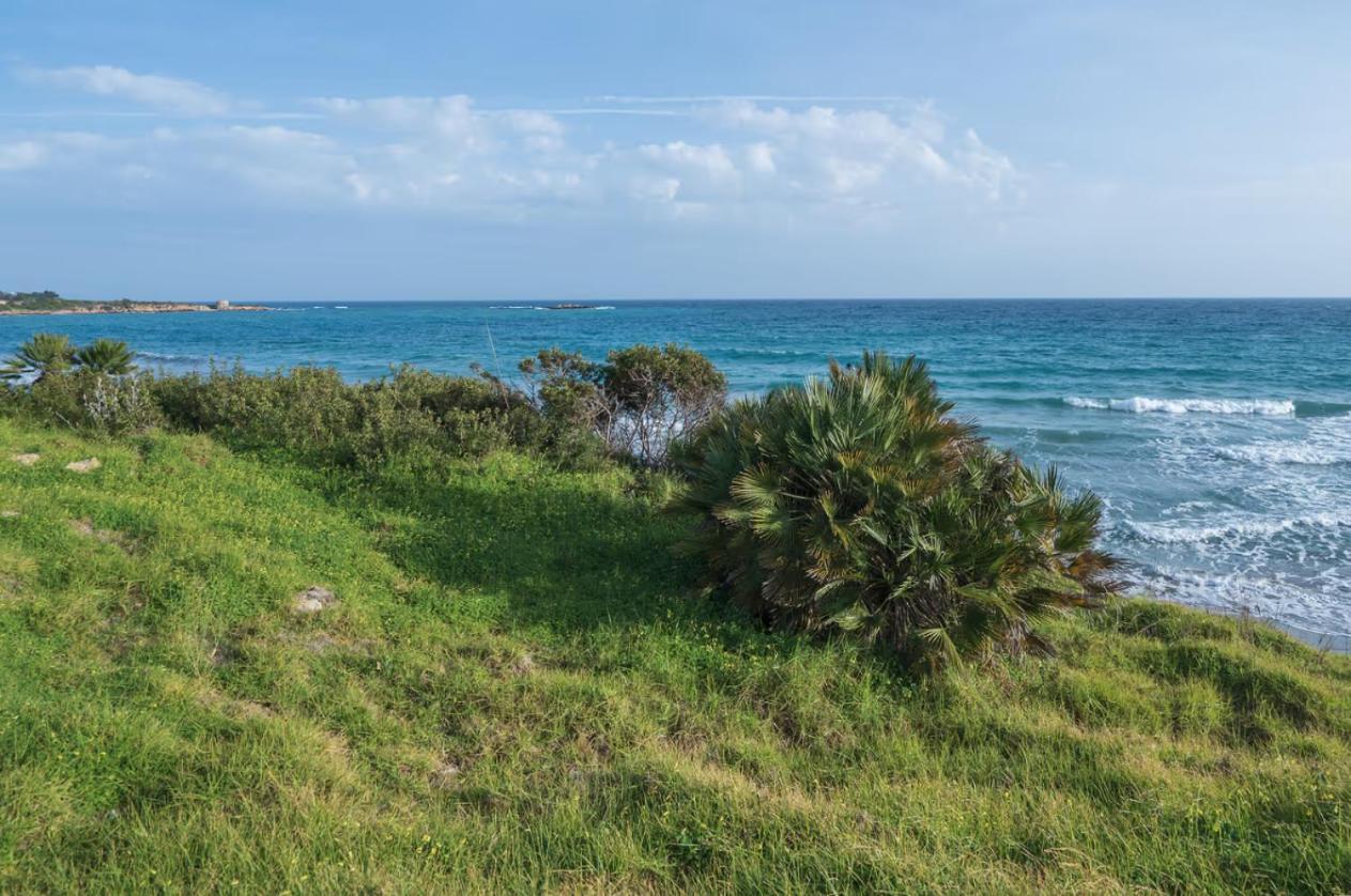 Villa Fratelli Arenella  Exteriér fotografie
